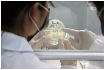 膜清洗劑生產廠家